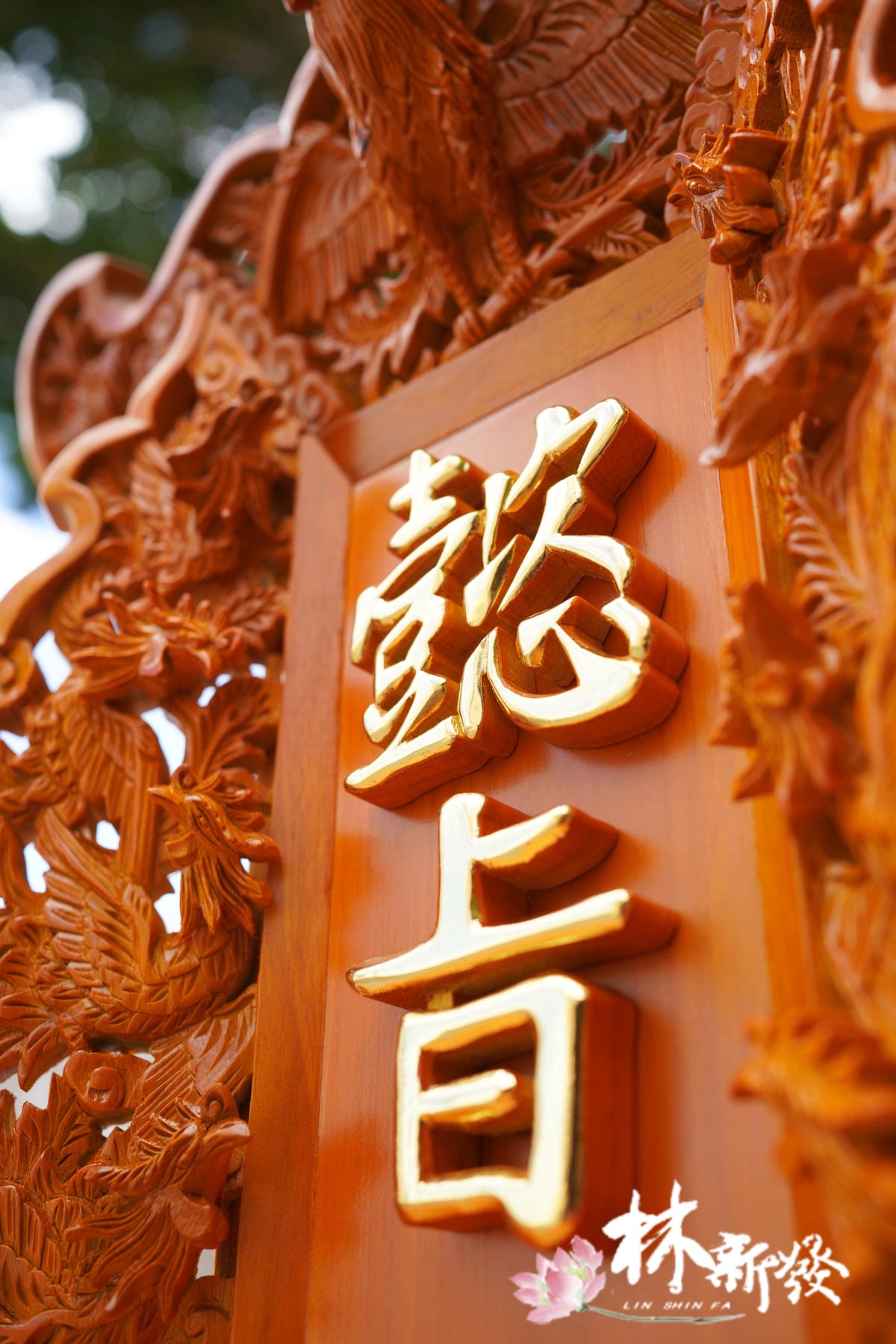 八塊神牌-006.JPG 八塊神牌-006.JPG
