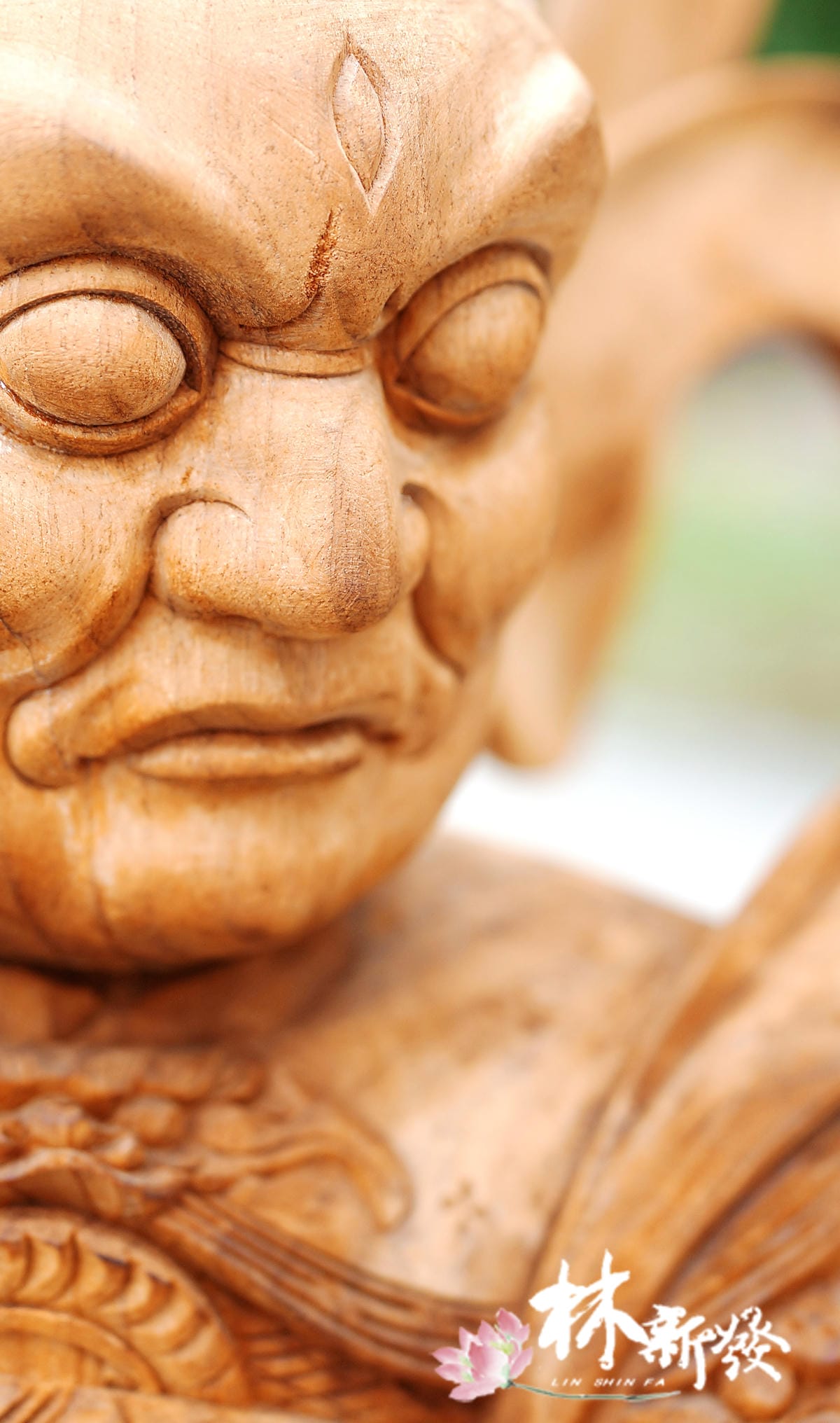 新發神藝-王天君(天地手．尺三．尺六．二尺二)