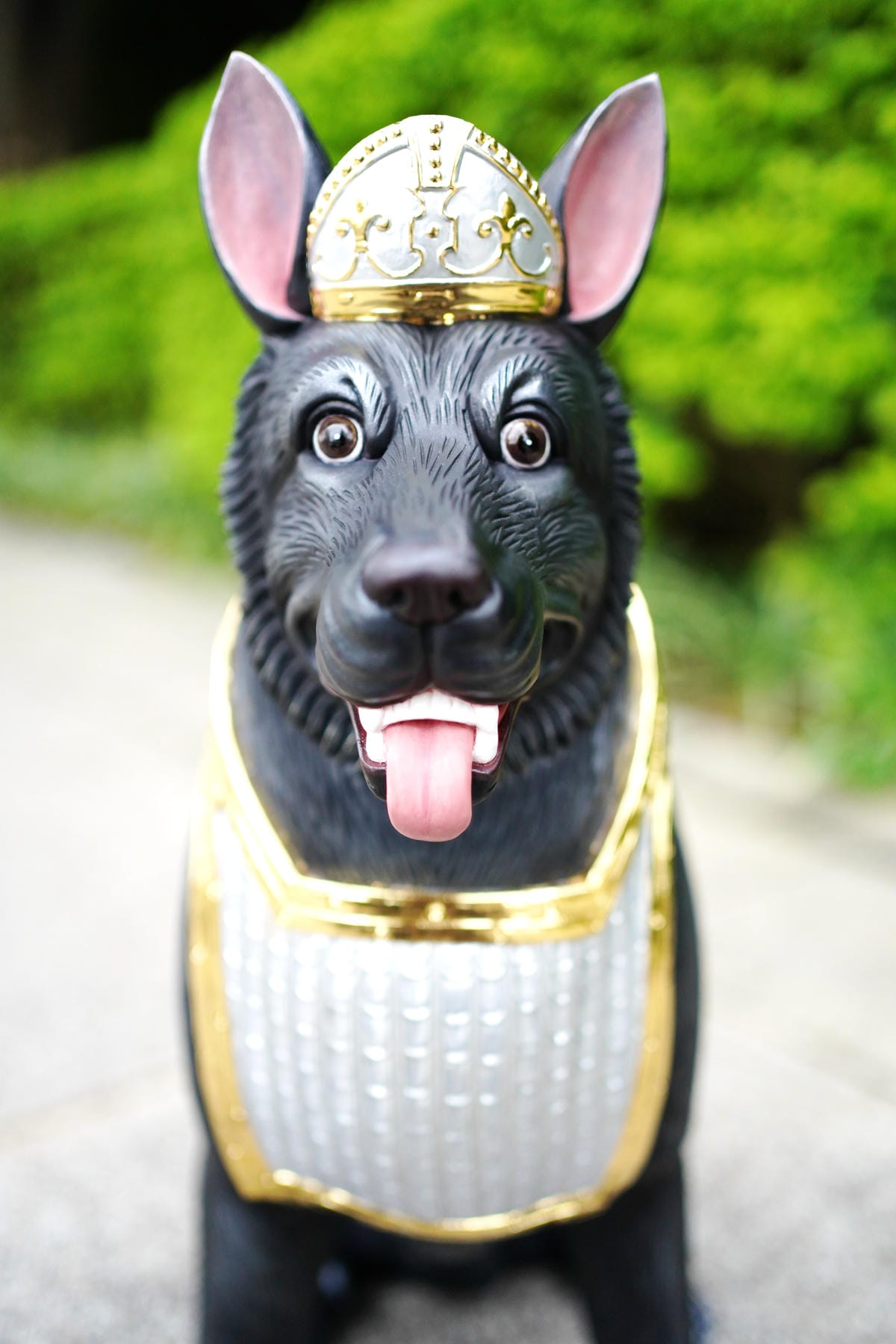 黑狗將軍 -011.JPG