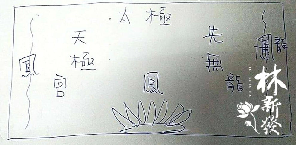 宮匾-雙龍拱護/至高九龍。藝術作品（五尺八檜木全實木雕刻）