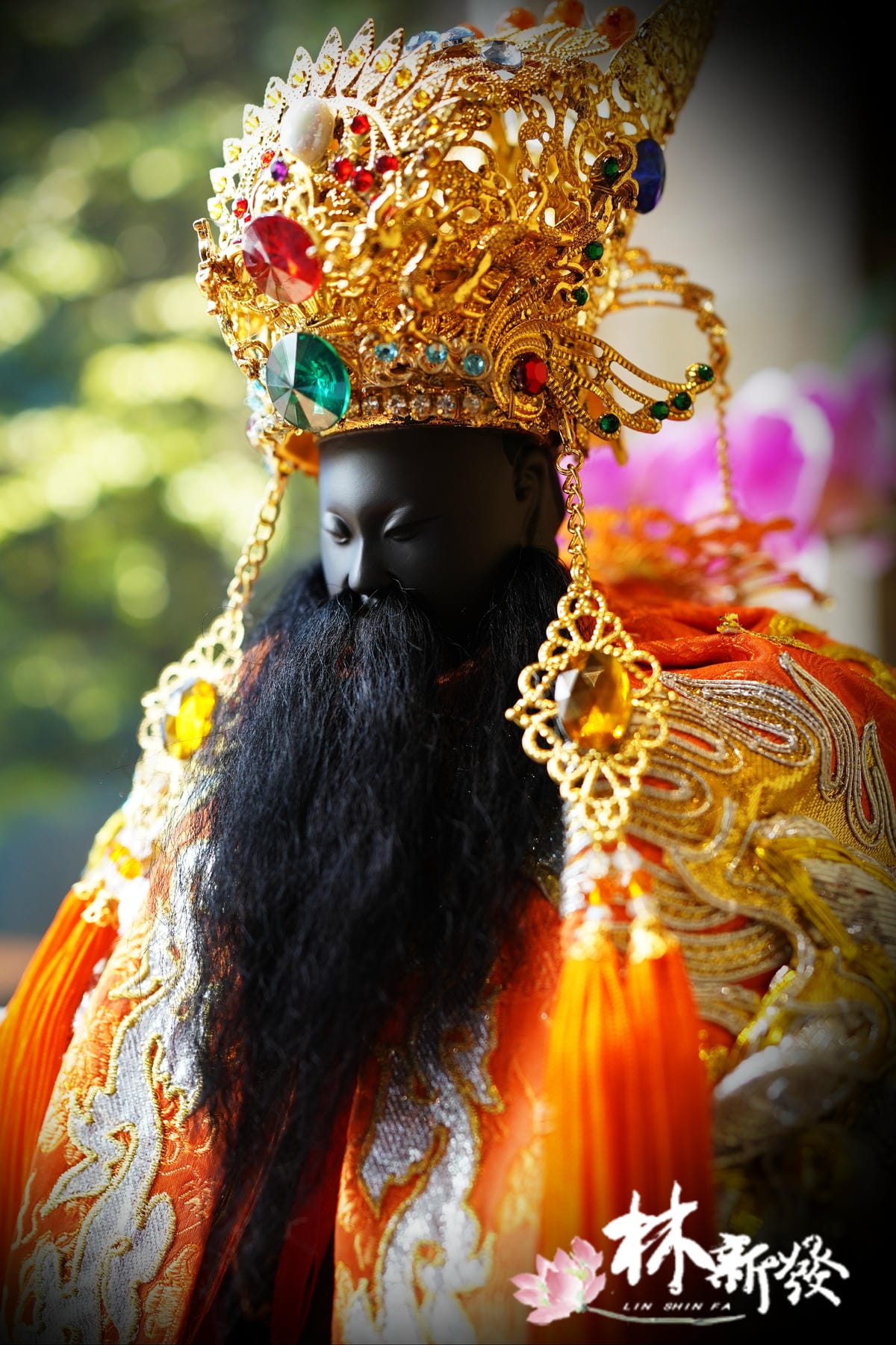 20250411-保生七星冠-005.JPG