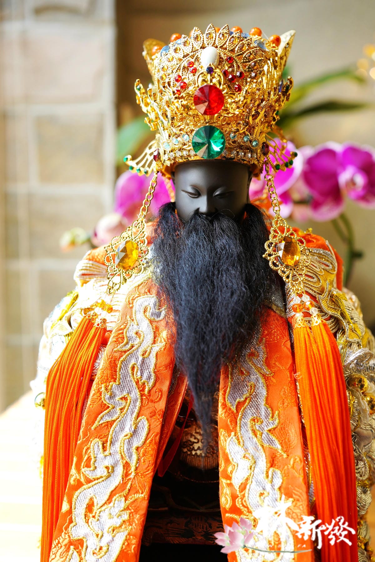 20250411-保生七星冠-003.JPG
