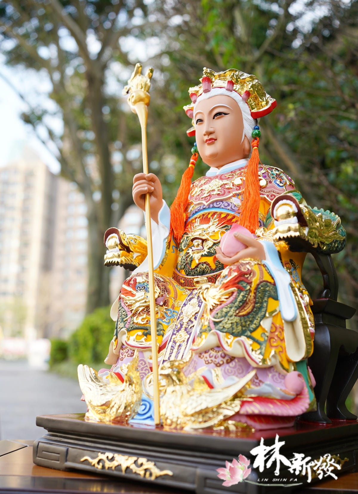 20240305-金母娘娘的南彩-007.JPG 20240305-金母娘娘的南彩-007.JPG