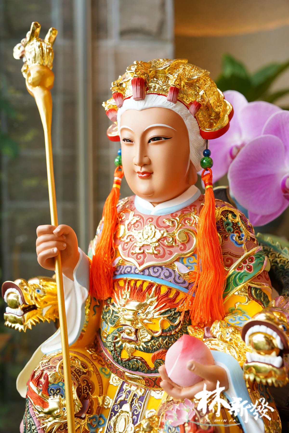 20240305-金母娘娘的南彩-009.JPG 20240305-金母娘娘的南彩-009.JPG