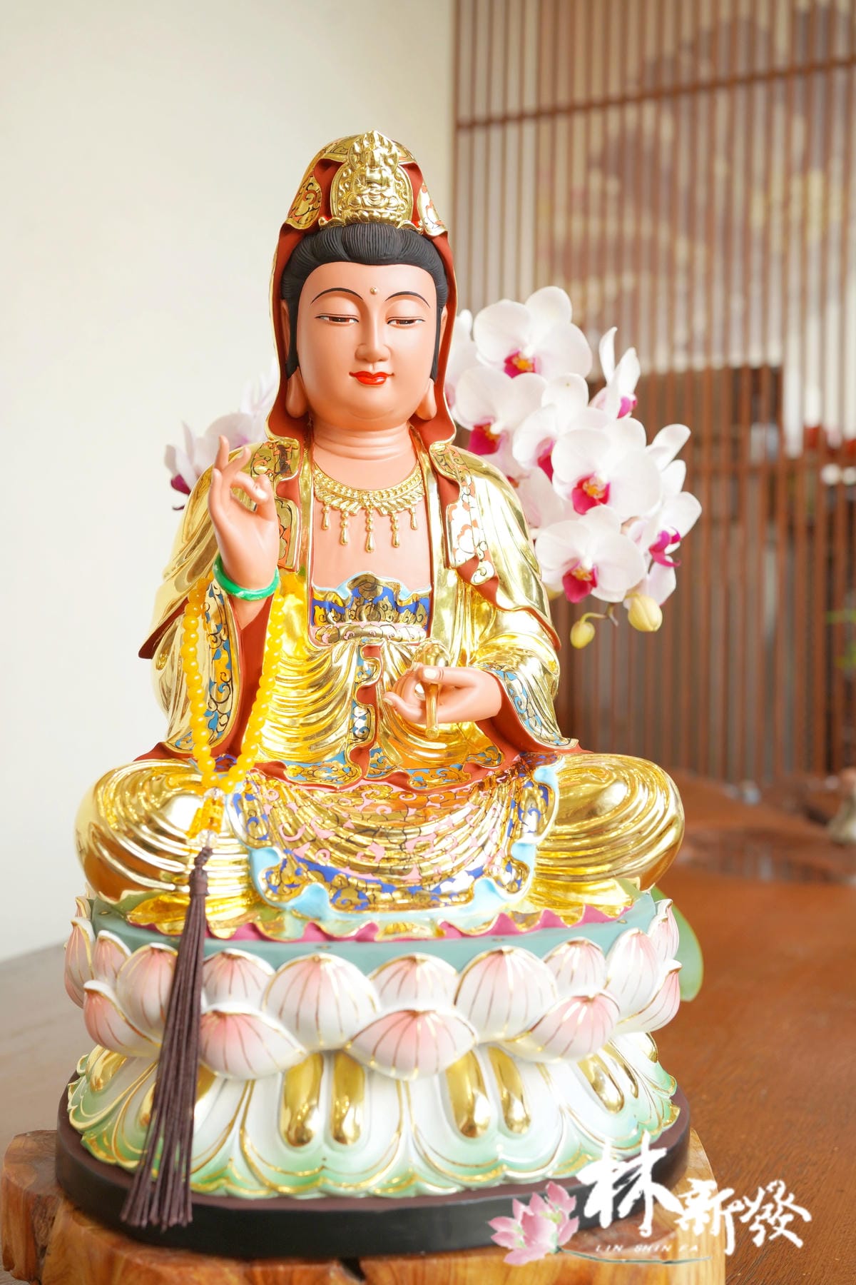 正體觀音粉色蓮花的參考樣本照片-002.JPG
