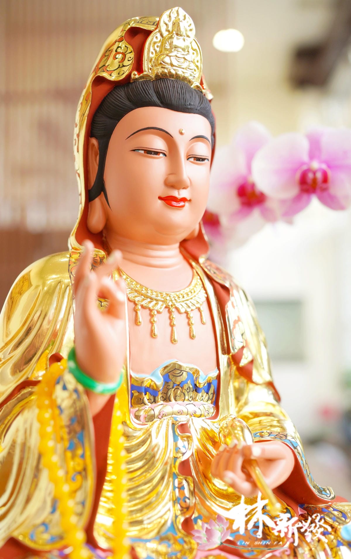 正體觀音粉色蓮花的參考樣本照片-009.JPG
