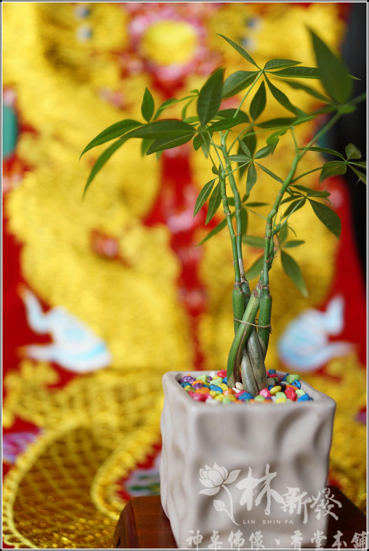 新發神藝-雙龍拱護(客製化椅套坐壂作品)