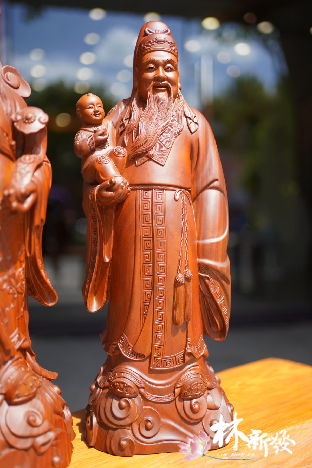 2023年美綠福祿壽-006.JPG