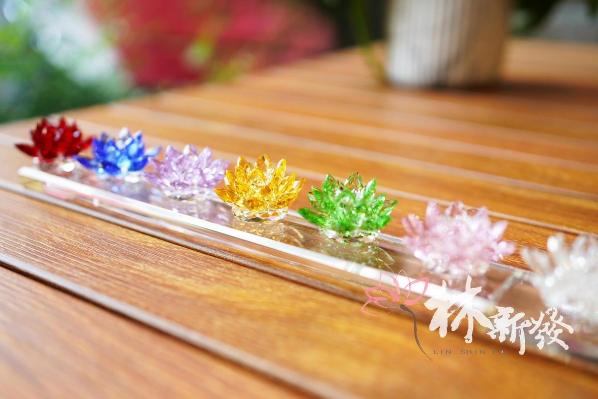 20240628-小水晶蓮花_3.JPG
