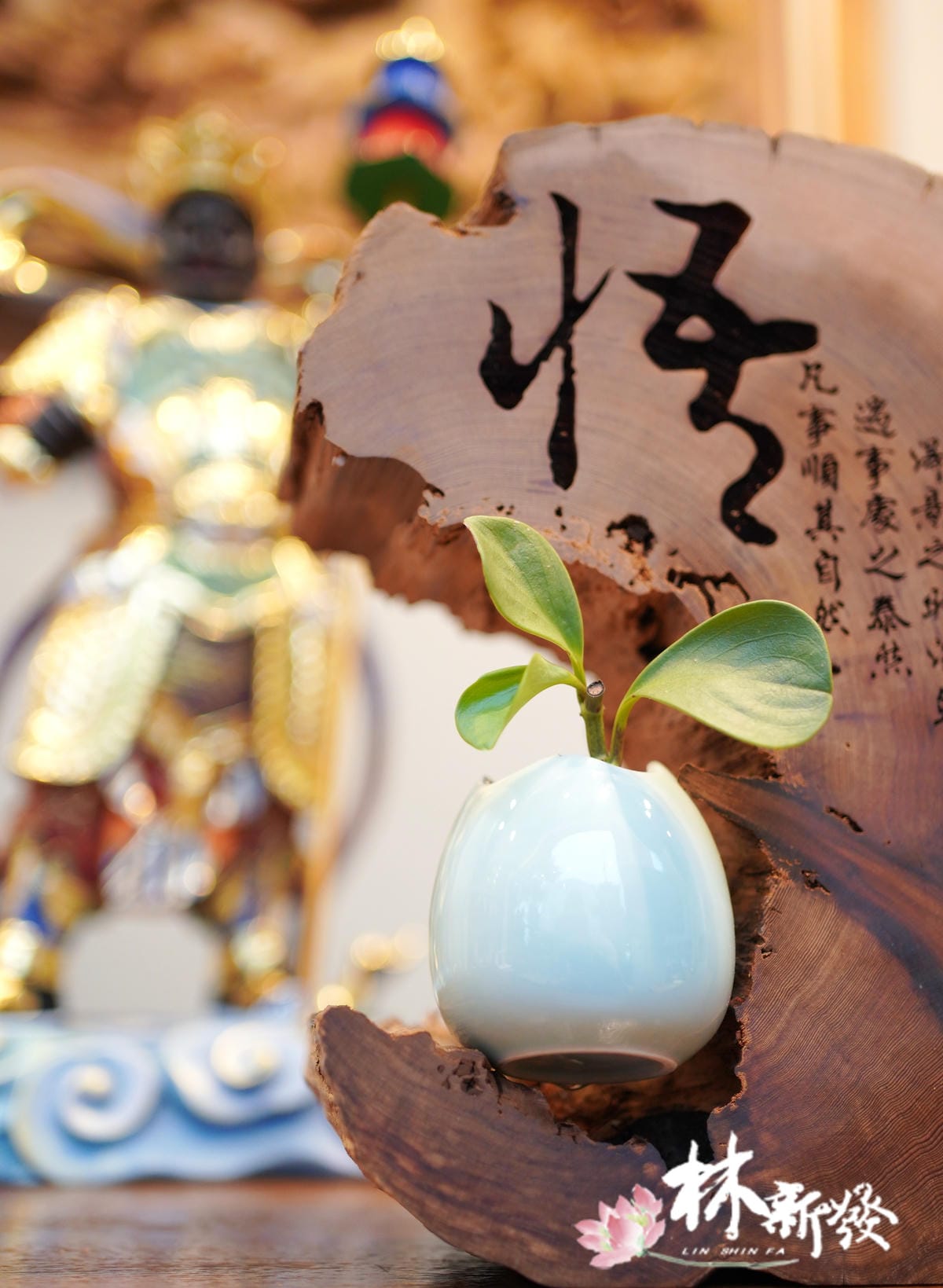 四大細彩作品-005.JPG