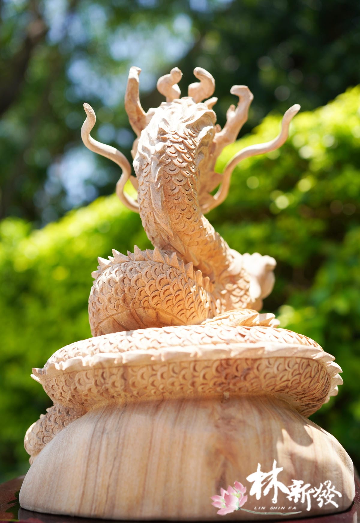 飛天神龍-009.JPG