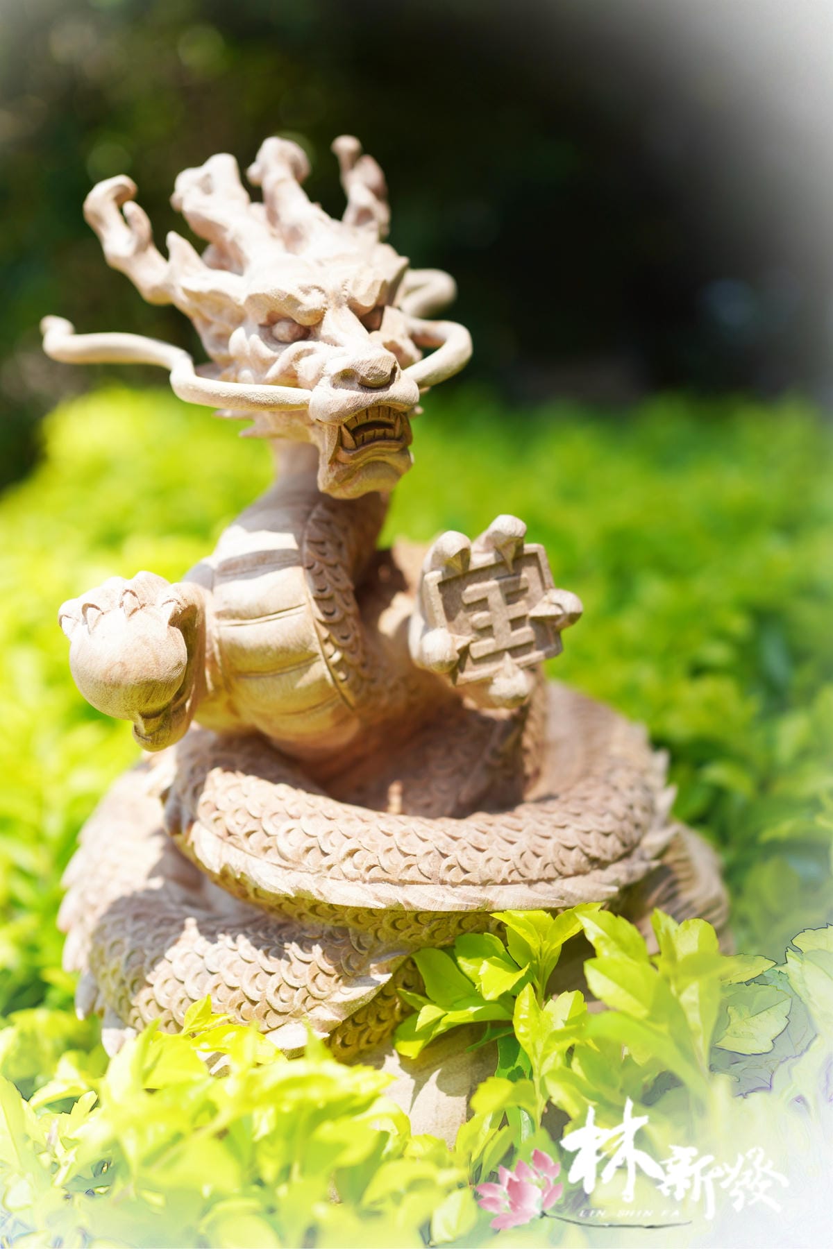 飛天神龍-002.JPG