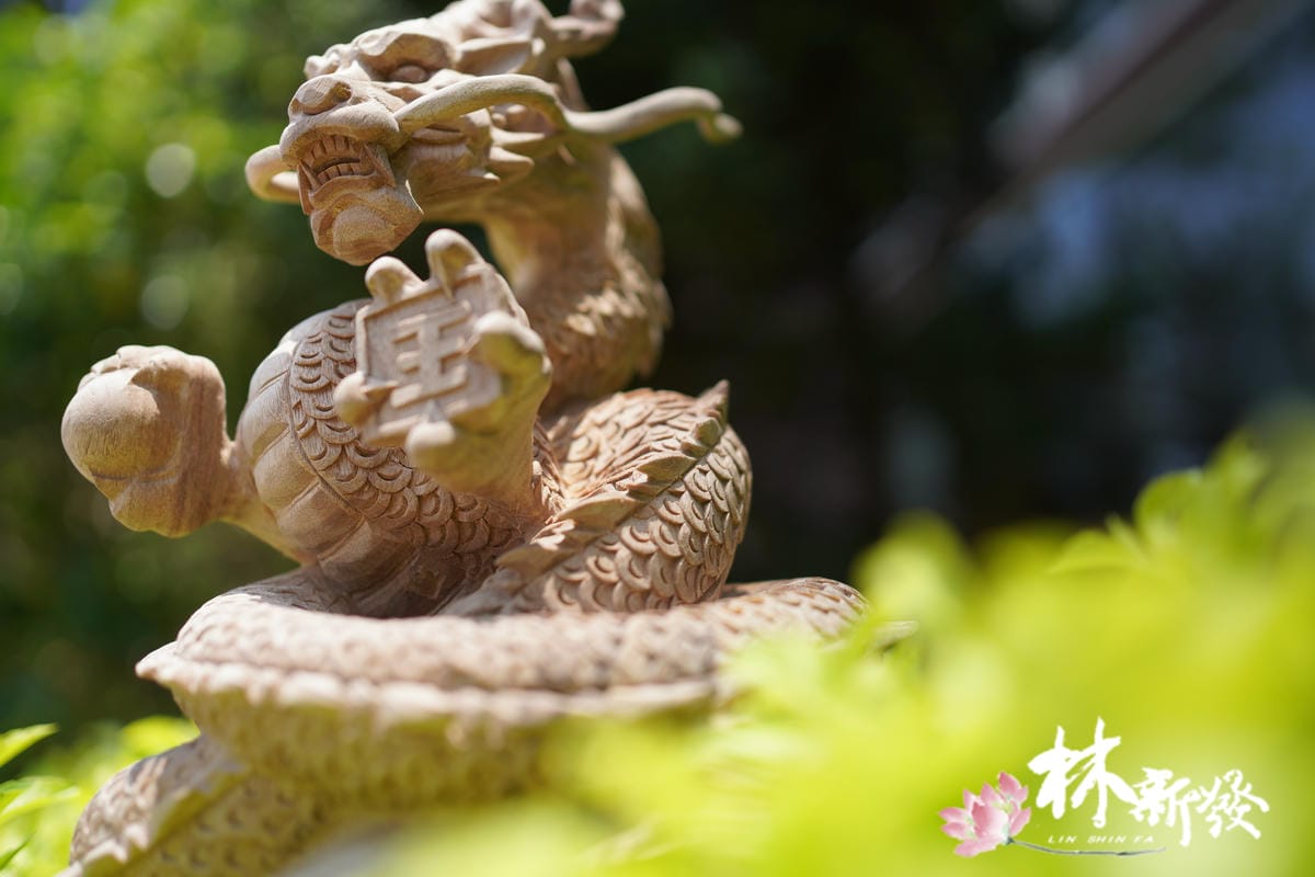 飛天神龍-001.JPG