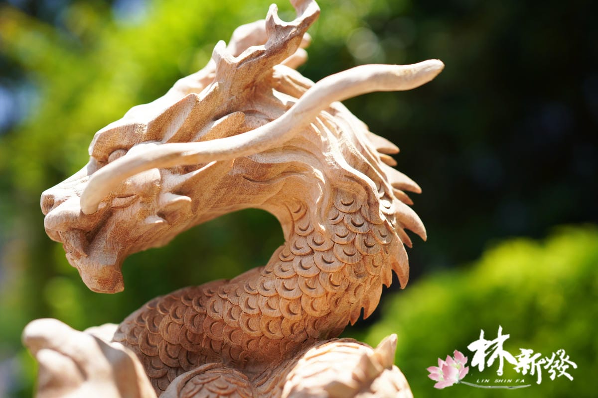 飛天神龍-007.JPG