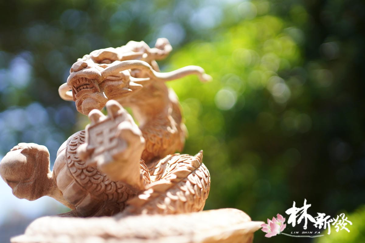 飛天神龍-005.JPG