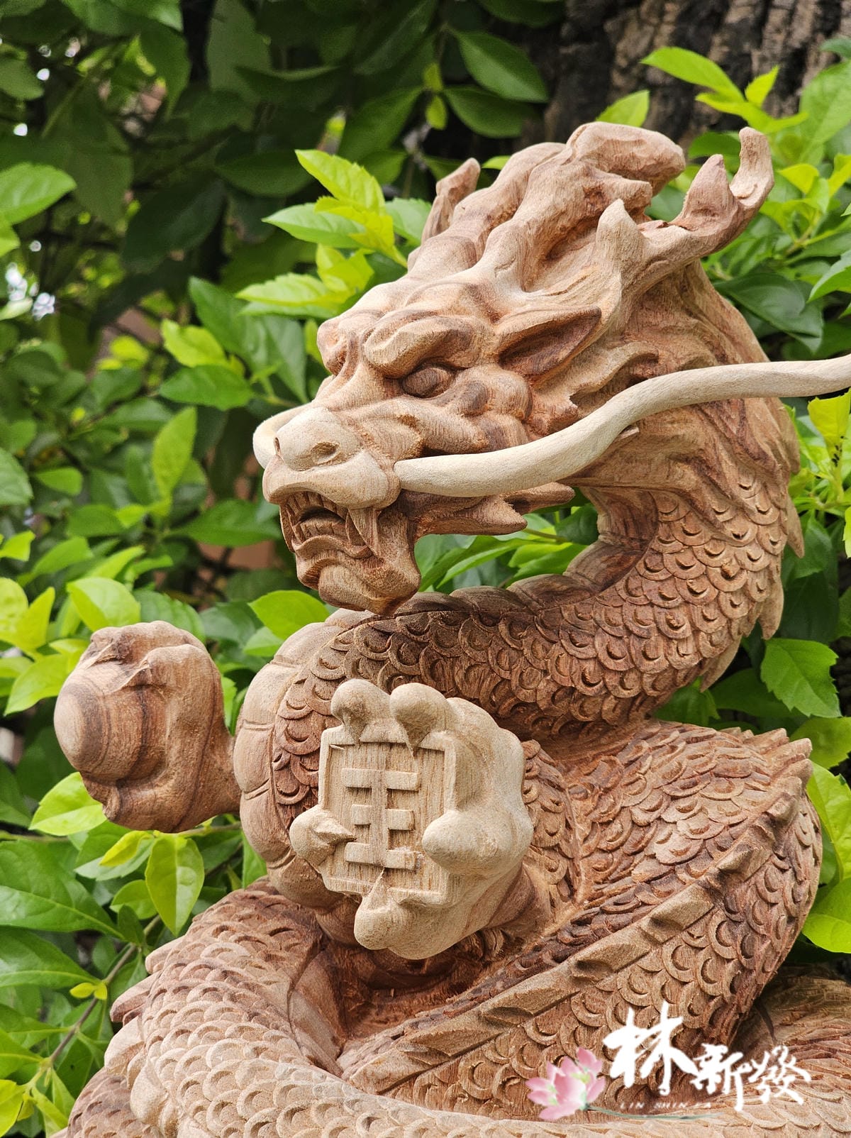 龍王拱護-011.jpg