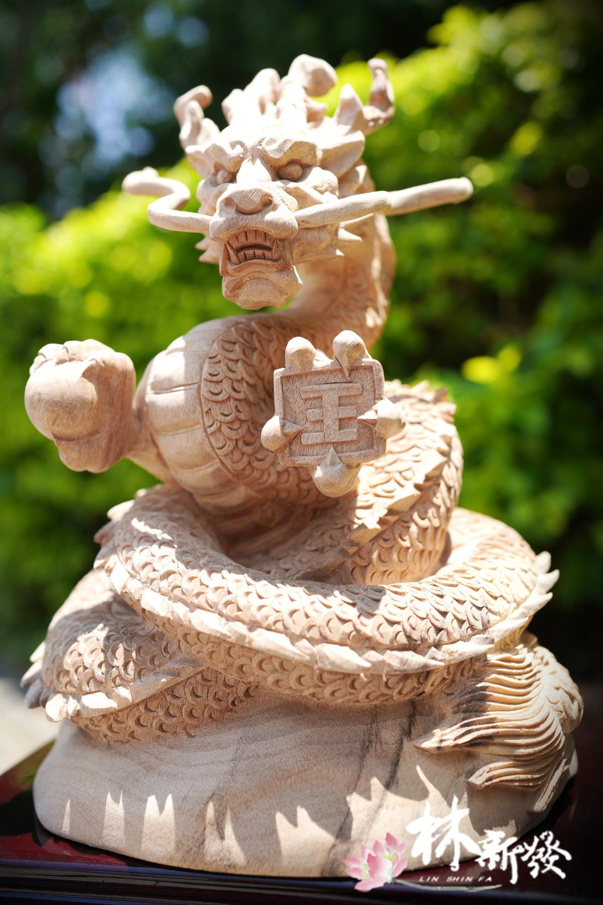 飛天神龍-003.JPG
