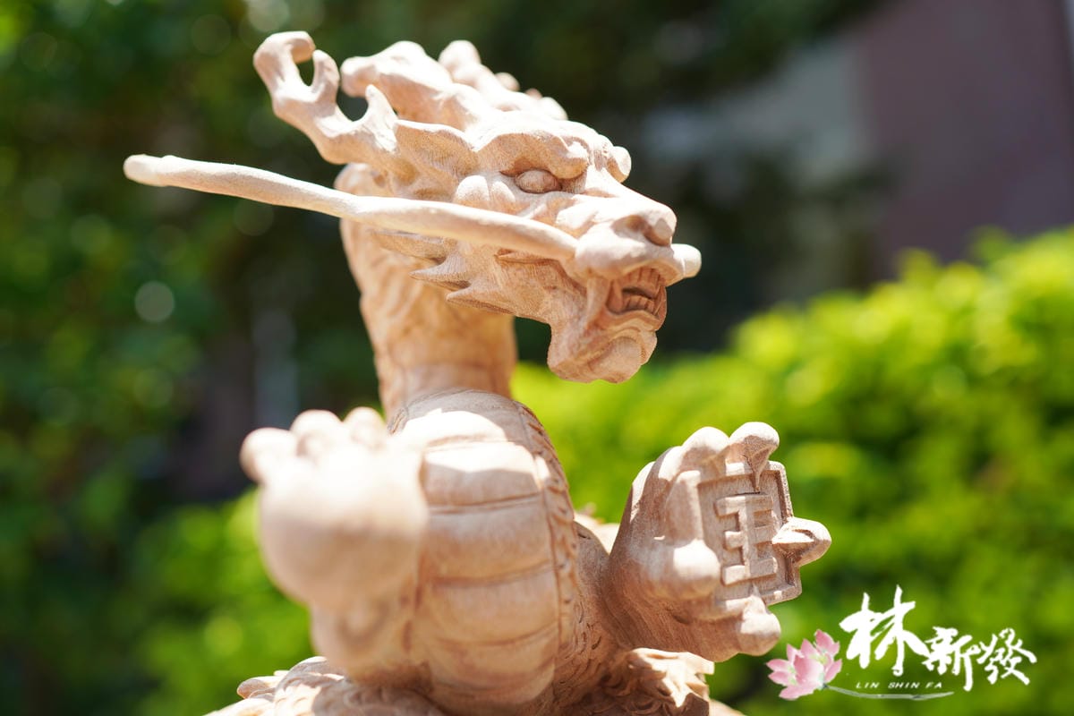 飛天神龍-010.JPG