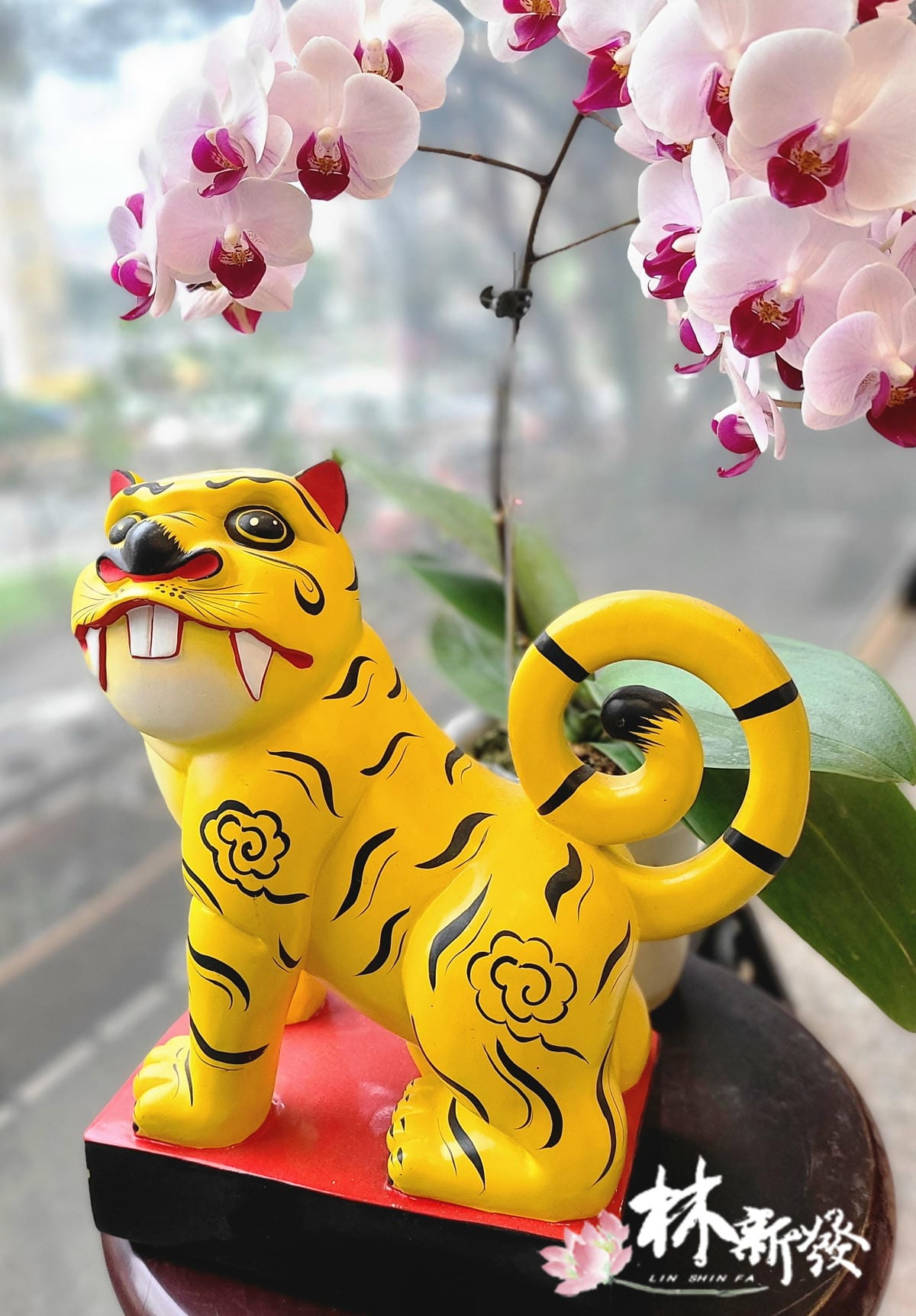 20241108店庫虎集_12.jpg 20241108店庫虎集_12.jpg