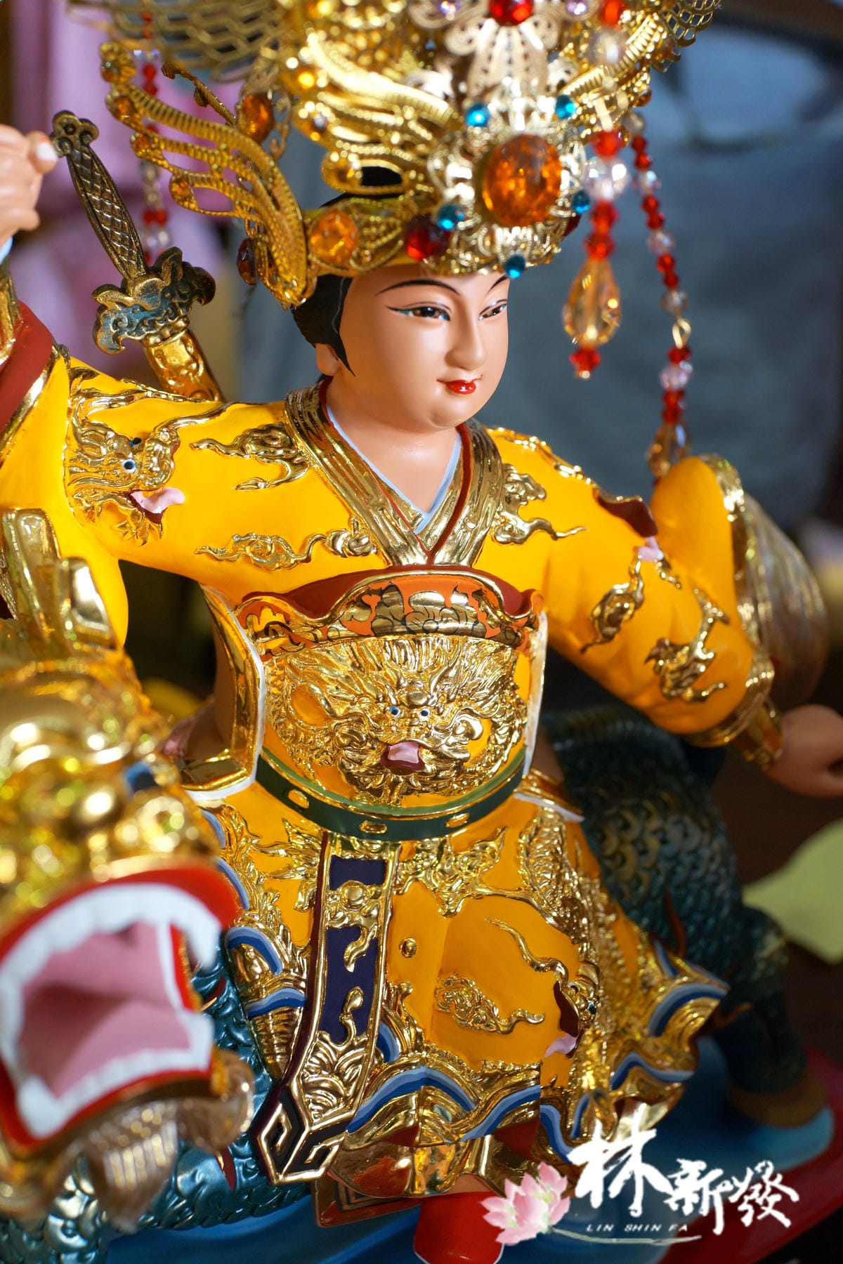 2025-金黃單鳳冠_050.JPG
