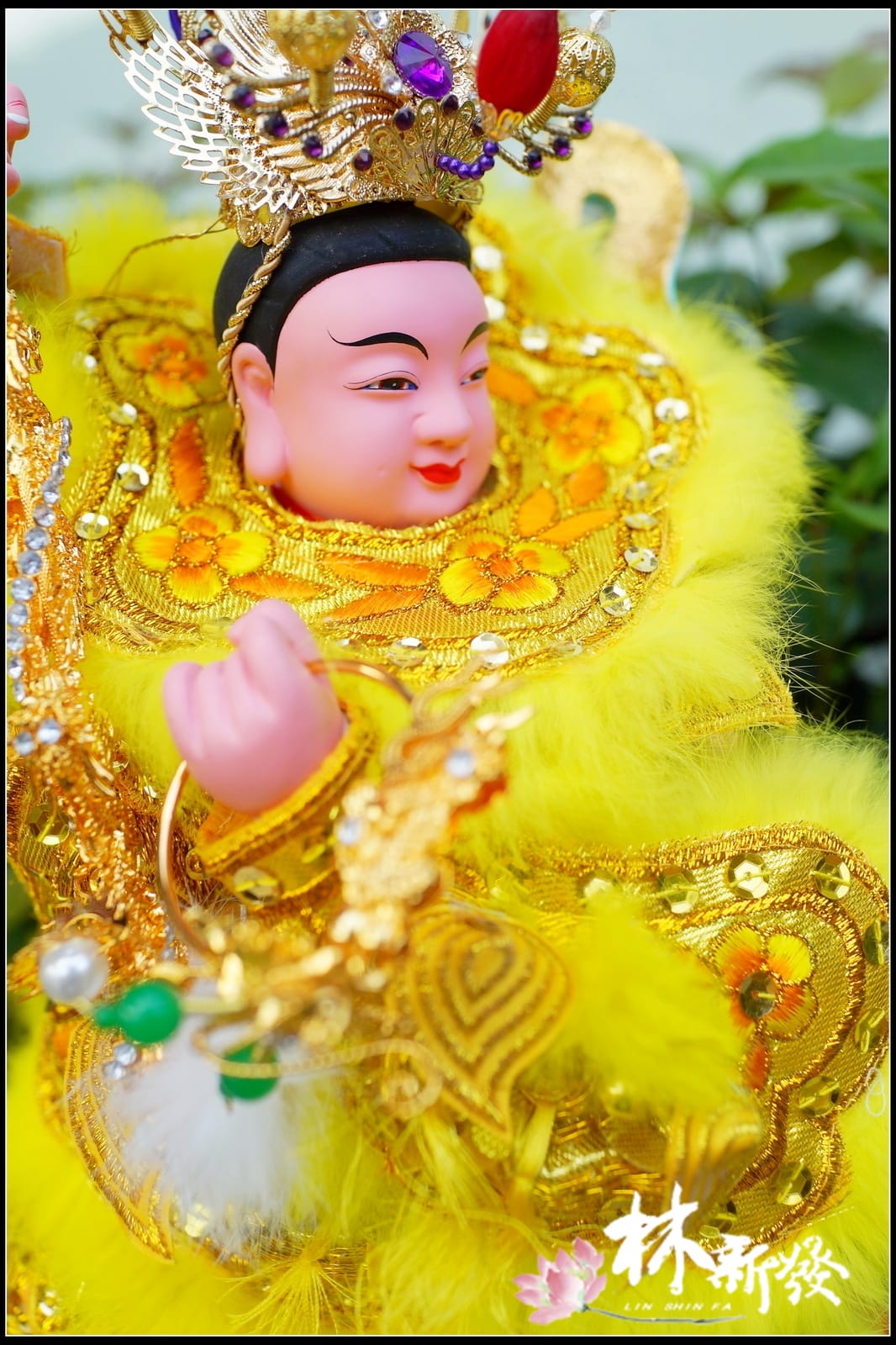 20250403-太子麟片甲作品_13.jpg