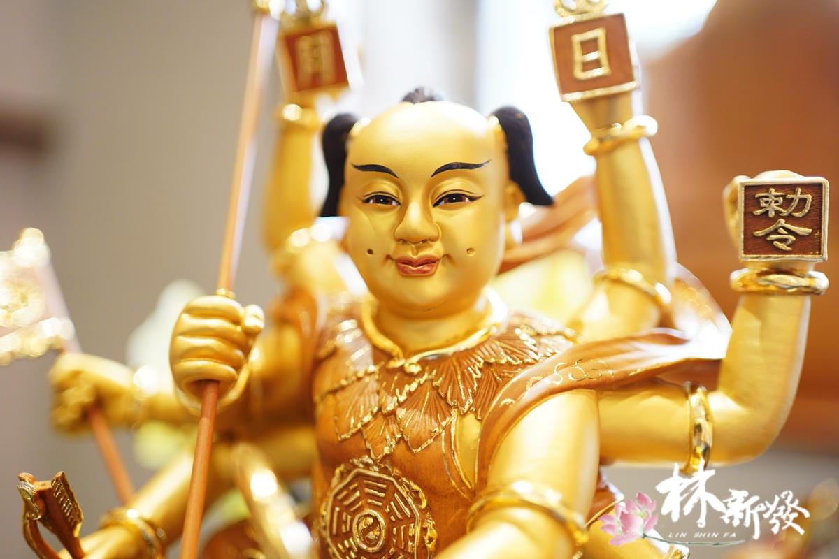 20250123-八臂Q太子_09.JPG