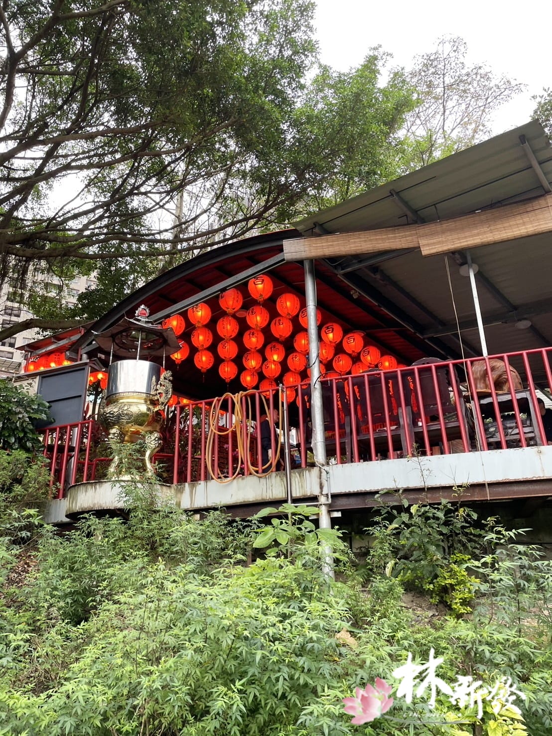 20250103白鐵虎爺家 (18).jpg 20250103白鐵虎爺家 (18).jpg