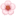 🌸
