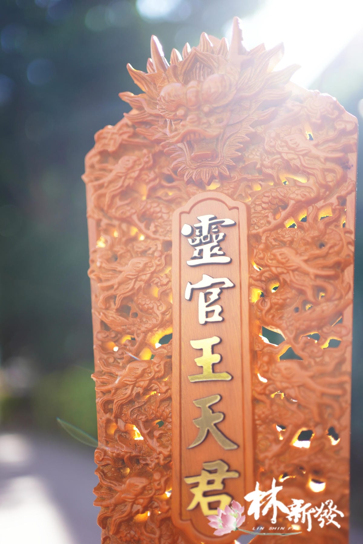 九龍立旨-005.JPG 九龍立旨-005.JPG