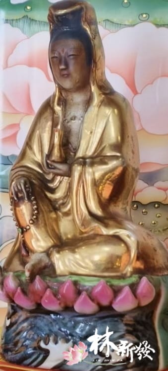 20250917-金身粉蓮現代膚色-001.jpg