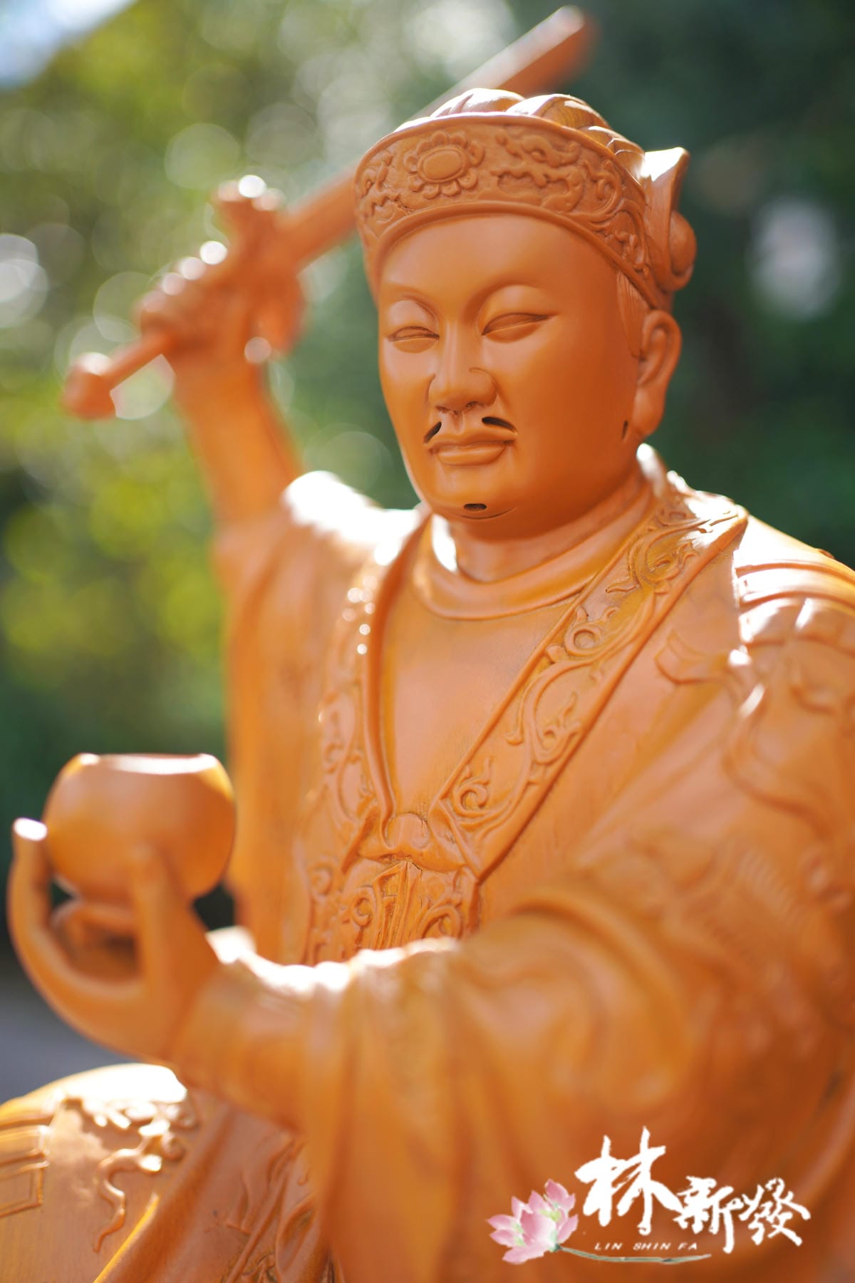 飛龍保生-007.JPG 飛龍保生-007.JPG