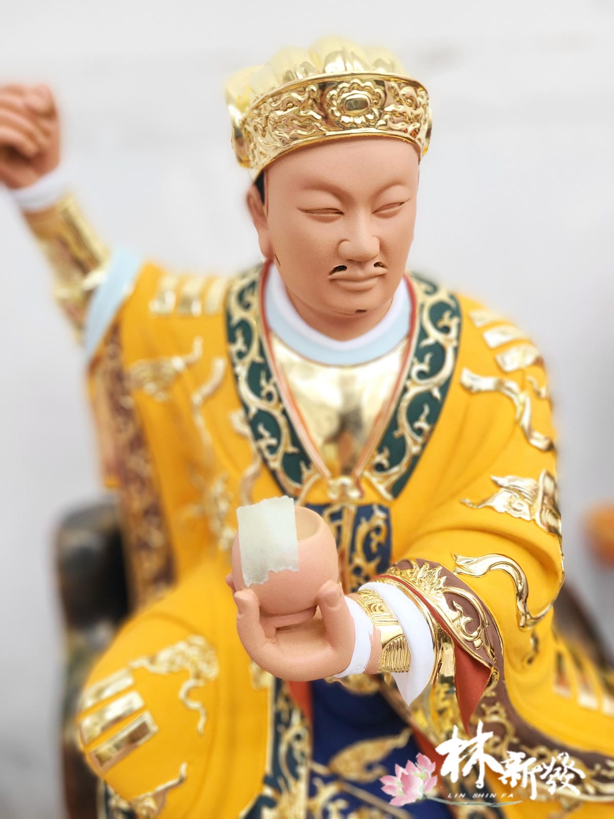 新發神藝-【飛龍保生|七星冠現身】🐉 新發神藝-【飛龍保生|七星冠現身】🐉