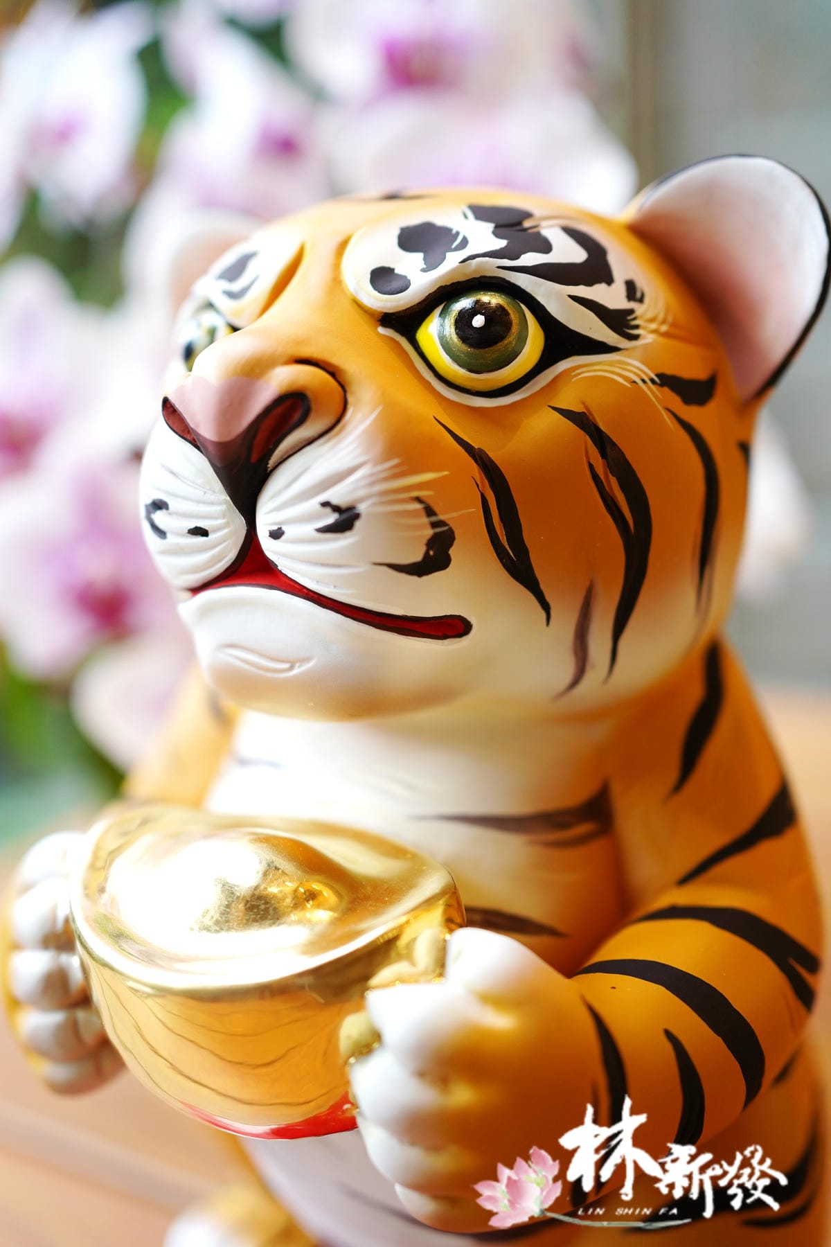 20240628-眾神會小虎_03.JPG