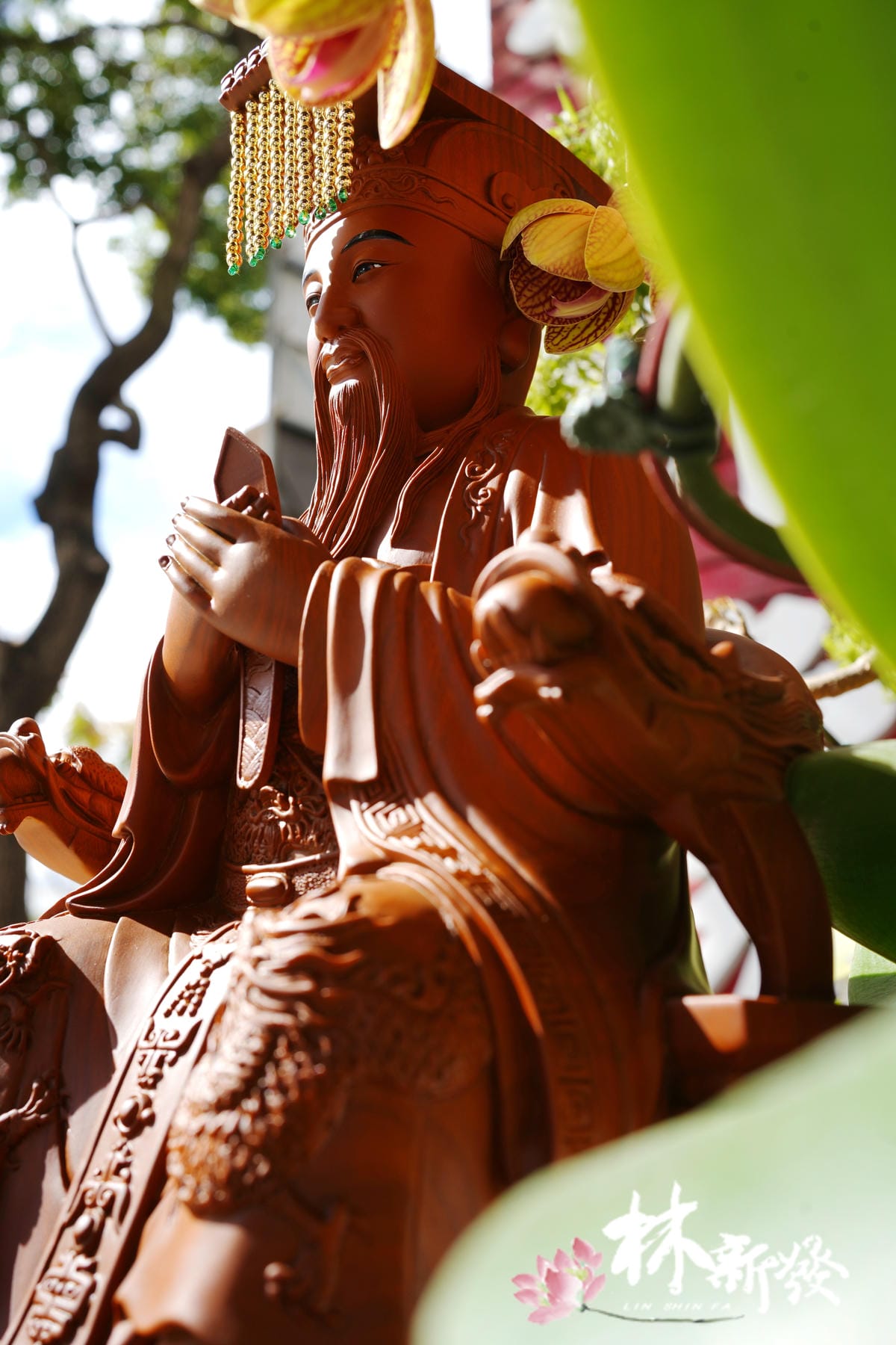 尺三美綠天公-004.JPG